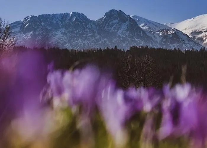 בית הארחה Dom Na Brzyzku